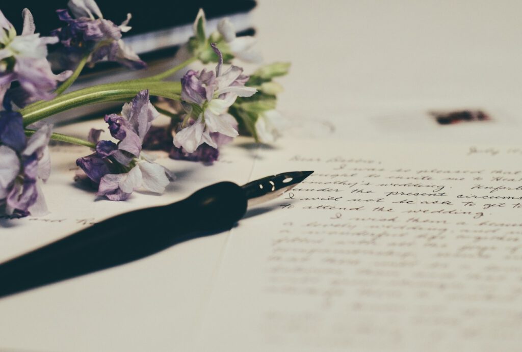 Getrocknete lila Blumen auf Briefpapier