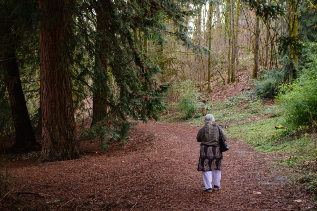 Eine Person geht allein auf einem Waldweg spazieren