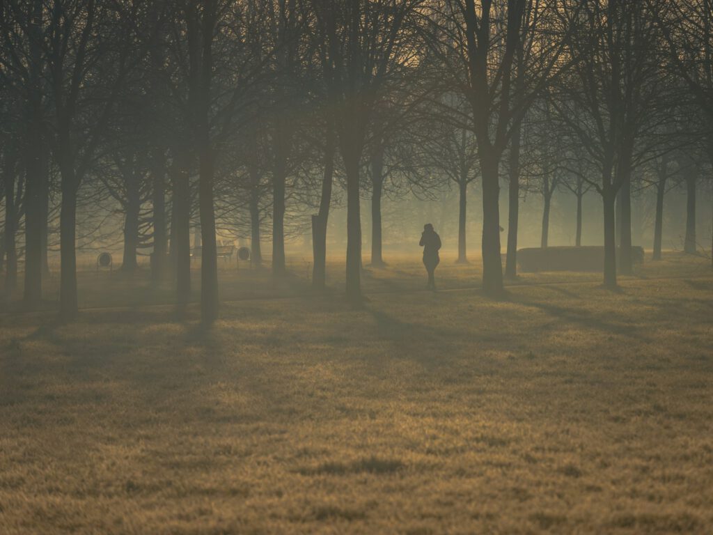 Eine Person geht im Herbst auf einem Weg zwischen Bäumen spazieren