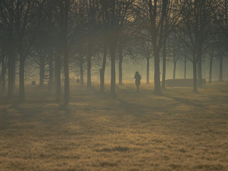 Eine Person geht im Herbst auf einem Weg zwischen Bäumen spazieren